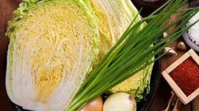 🥳 영월김장배추🥬 특가! 놓치면 후회할 솔직 후기