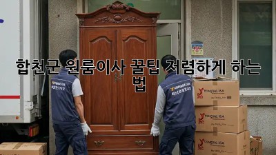 합천군 원룸이사 꿀팁🍯 저렴하게 하는 법