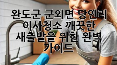 완도군 군외면 당인리 이사청소: 깨끗한 새출발을 위한 완벽 가이드
